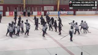 Dieppe Tr Game 3 U11AAA Selects vs Silberbacks 04052024 [upl. by Ottavia11]