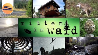 Bayerischer Wald  Urlaub in der Natur  Mitten im Wald [upl. by Windy170]