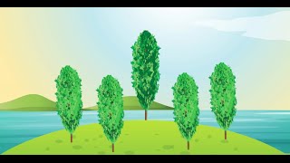 Poplar for Recycled Water Reuse and Phytoremediation [upl. by Ahsatak]