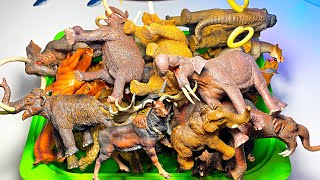 Prehistoric Animals Collection  Woolly Mammoth Smilodon Megacerops Woolly Rhino Mastodon [upl. by Derinna]