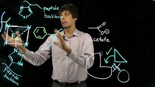 Topic 67  Myoglobin specificity for O2 [upl. by Auqined534]