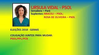 Jingles Eleições 2018  Senador do Pará [upl. by Neerod638]