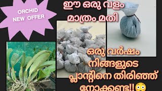 The best fertilizer to give your plantOrchid new offer [upl. by Yeblehs]