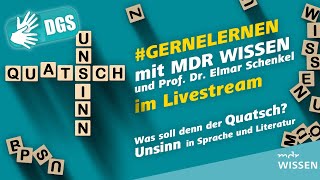 Gebärdefassung Was soll denn der Quatsch Unsinn in Sprache und Literatur  gernelernen  MDR [upl. by Huskamp]