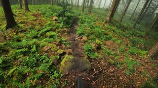 alte Falknerei im Nassen und Schlosstreppen 4K  MTB Heidelberg Königstuhl mtb heidelberg germany [upl. by Eyahs883]