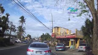 Drive Trip Philippines  Tagaytay The Original Buko Pie  Baked Coconut Pie [upl. by Donia]