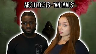 Architects  “Animals”  REACTION VIDEO [upl. by Layman]