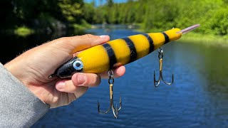 Fishing GIANT LURES Pays Off With Multiple MUSKY [upl. by Orvil36]