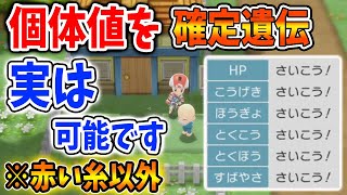 【ポケモン ダイパリメイク】 知らなければ絶対に損する。個体値を確定で遺伝させる方法が実は存在する【メタモン厳選攻略ブリリアントダイヤモンド・シャイニングパール／BDSP】 [upl. by Assirral833]