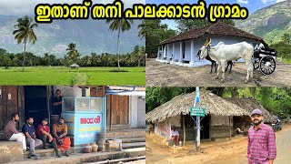 നമ്മൾ കാണാത്ത പാലക്കാടിന്റെ ഉൾഗ്രാമങ്ങൾ ഇപ്പോഴും ഇങ്ങനെയാണ്Remote Villages of Palakkad [upl. by Erialcyram]