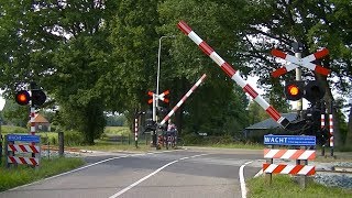 Spoorwegovergang Ruurlo  Dutch railroad crossing [upl. by Anaidiriv811]