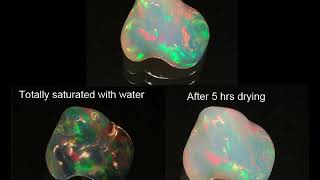 Hydrophane opal in water [upl. by Brower]