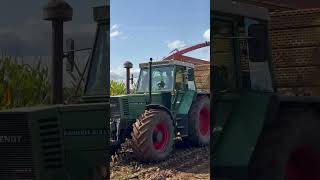 Fendt Favorit 612 Youngtimer Feldtag Nordhorn 2024  Lipper Agrarvideos [upl. by Ahsikit]