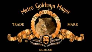 MGM Cat [upl. by Kellina947]