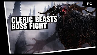 Celric Beast Boss Fight  Bloodborne  celricbeast bloodborne bloodbornegameplay [upl. by Lapham]