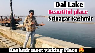 Winter Main Dal Lake Kaise Dikh Rahi hai 😱  Dal Lake  Dal Lake tour  Dal Lake Srinagar Vlog [upl. by Auqinal]