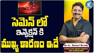 సెమెన్ ఇన్ఫెక్షన్ కి కారణం Causes Of Sperm Infection In Telugu  Dr Rahul Reddy  Androcare Clinic [upl. by Ahcas]