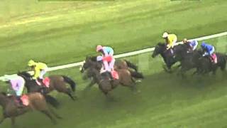 2011 Piper Heidsieck Champagne Brigadier Gerard Stakes [upl. by Martres]