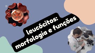 Leucócitos e suas Funções  Módulo de Hematologia Aula 213 [upl. by Irrab]