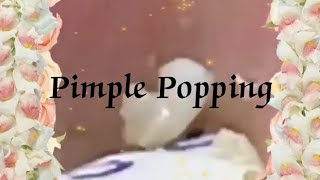 Pimple amp Blackheads Popping  30 [upl. by Nyvrem370]