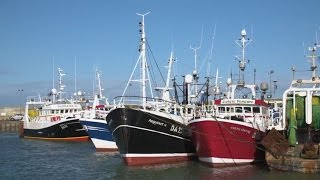 Emydex Fish Processing and Traceability Software Live OnBoard Clogherhead Fishing Vessels [upl. by Scarface]