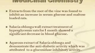 Salacia Oblonga and Diabetes [upl. by Sheffy]