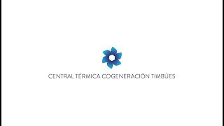 Central Térmica Cogeneración Timbues [upl. by Tnafni]