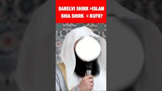 Shia Shirk vs Barelvi Shirk barelvi shia shirk [upl. by Ayatnwahs]