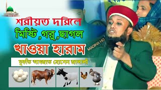 শরীয়ত দরিলে গরুর মাংস খাওয়া হারাম আমজাত হোসেন জালালী ওয়াজ Maulana Amjat Hossain Jalali waz [upl. by Atin]