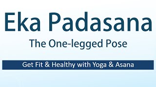 Health Benefits of Eka Padasana  Yoga Health for Beginners  The Onelegged Pose Yoga Asana [upl. by Dranik]