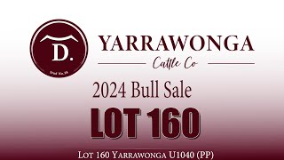 Lot 160 Yarrawonga U1040 PP [upl. by Britton]