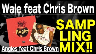 【Hip Hop RampB Sampling MIX】Wale Angles feat Chris Brown [upl. by Egiaf]