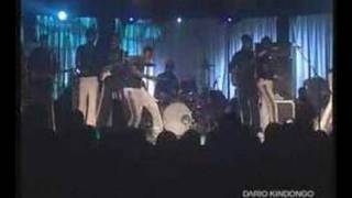 koffi olomide Live Show Guess star Fally [upl. by Voccola174]