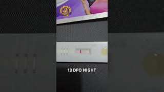 TTC 1  13 DPO Night  Pregnancy test  Faint line  21 Sept 2024  Baby Bump ttcjourney [upl. by Sarah]