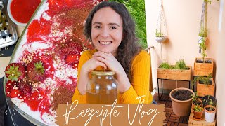 VLOG » Veganes Tiramisu Kombucha selber machen Alltag amp Grillen [upl. by Leontine384]