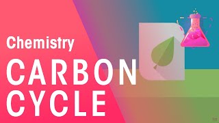 The carbon cycle English Subtitles [upl. by Bolten]