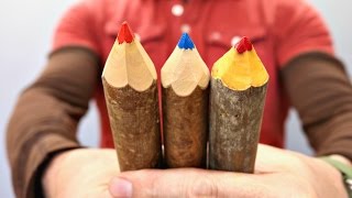 How To Make Branch Crayons [upl. by Linis302]