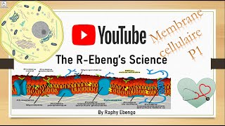 Membrane cellulaire Partie 1 By The R Ebengs Science [upl. by Reinhold985]