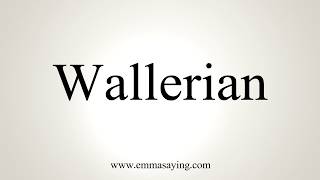 How To Pronounce Wallerian [upl. by Amorete]