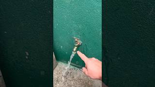 How To Tap Leakage Repairing  TAP LEAKAGE REPAIRING WITHOUT PLUMBER shorts tips ideas [upl. by Attezi]