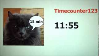 Timer 15 minutes [upl. by Attebasile]