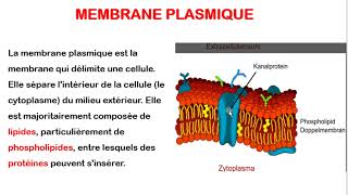 Comprendre la Membrane Plasmique Biologie Cellulaire  Partie 5 [upl. by Marjana]