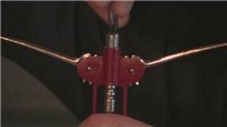 Wine Advice  How to Open Wine With a Lever Opener [upl. by Ahsiloc]