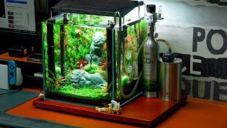 7 Thử thách  Hồ thủy sinh nano để bàn làm việc  cubic 30  setup đơn giản  Aquascape [upl. by Fedirko]