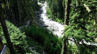 1100foot Zip Line Whistler BC [upl. by Erdied]