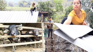 Repair dilapidated pig barn  replace polo roof  prepare land for winter crops [upl. by Aisat]