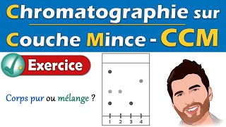 Exercice  CCM 🧪 Chromatographie sur Couche Mince  Physique Chimie  Lycée [upl. by Ecnerol]