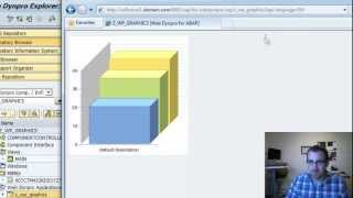 ABAP WebDynpro Business Graphics 3D SAP Tutorial Part 10 [upl. by Enyad757]