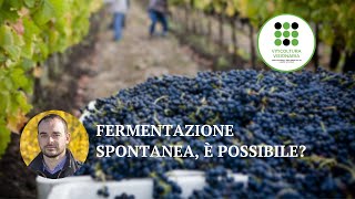 Fermentazioni Spontanee È Possibile Una Panoramica sulla Gestione e Controllo [upl. by Enellek]