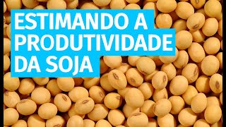 Estimando a produtividade da cultura da soja [upl. by Akcinehs]